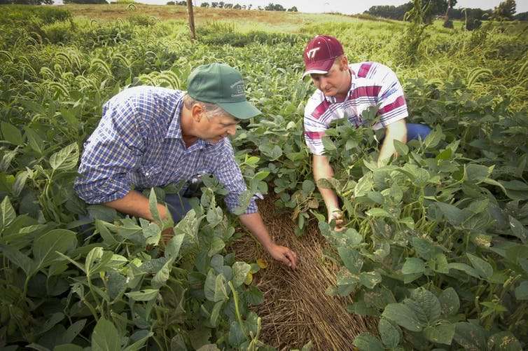 How carbon farming can help solve climate change