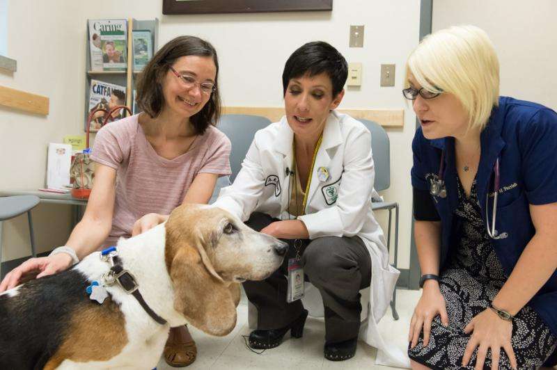 How man's best friend is helping cancer treatment