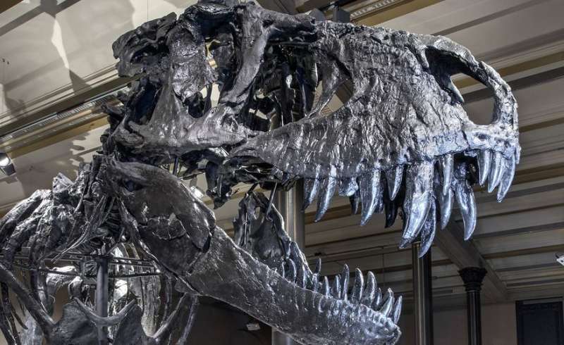 How the darkness and the cold killed the dinosaurs