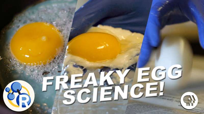 How to 'cook' an egg without heat -- and other weird egg science (video)