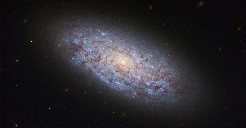 Hubble displays a dwarf spiral galaxy