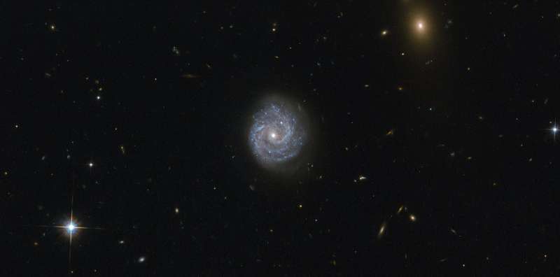 Hubble gazes into a black hole of puzzling lightness