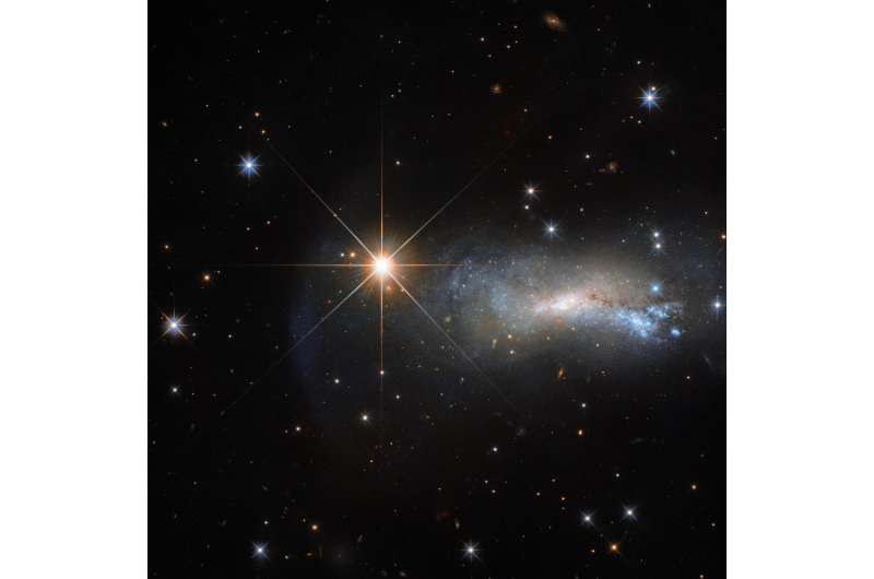 Hubble's bright shining lizard star