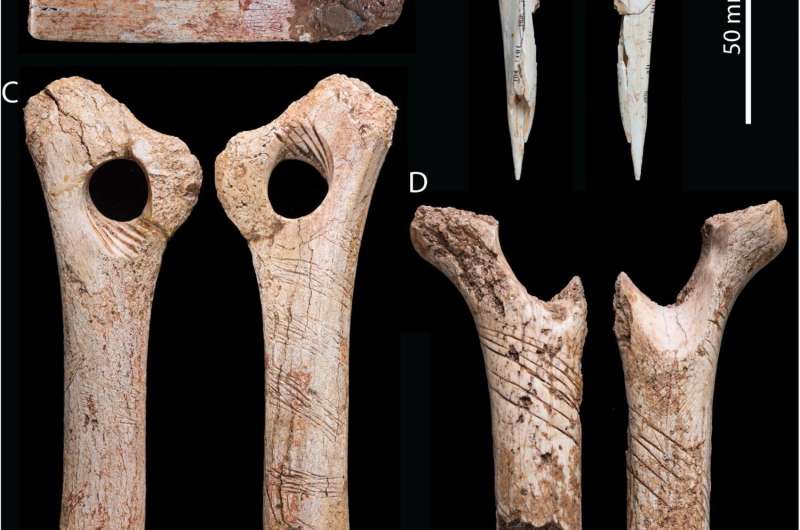 Human bones may have been engraved as part of a cannibalistic ritual