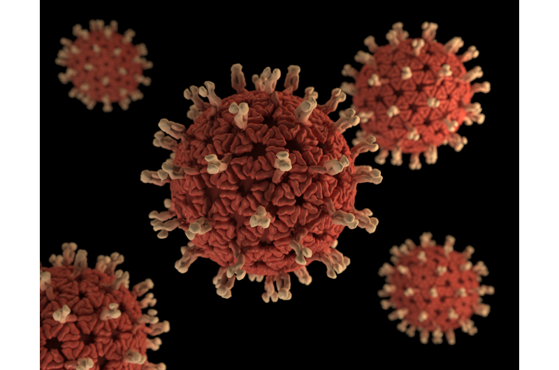 Human rotavirus manipulates immune response to maintain infection
