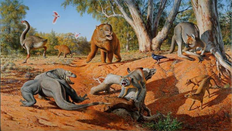 Humans, not climate change, wiped out Australian megafauna
