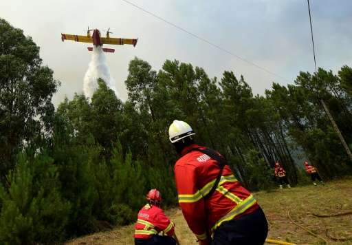 Hundreds of firefighters were still battling the forest blaze in central Portugal on Wednesday