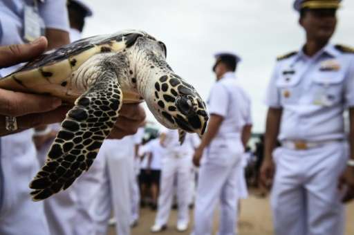 Hundreds of Thai schoolchildren and naval officers sent 1,066 turtles scuttling into the sea on Wednesday in a ceremony aimed at