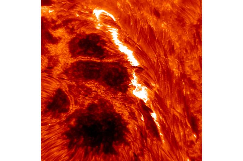 Igniting a solar flare in the corona with lower-atmosphere kindling