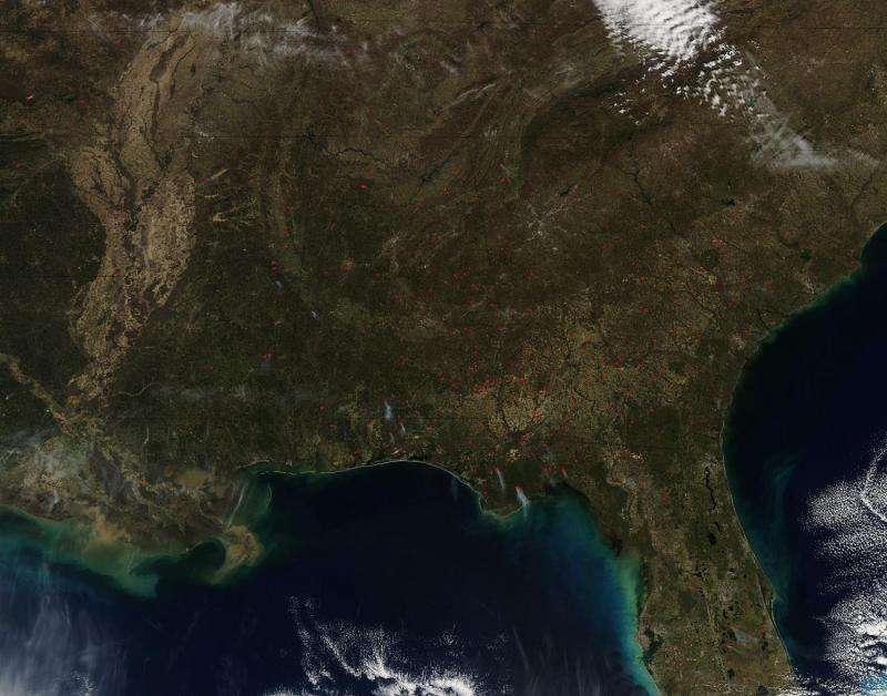 Image: Fires in southeast United States both wild and prescribed