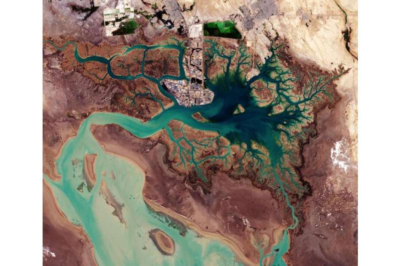 Image: Musa Bay captured by Copernicus Sentinel-2A
