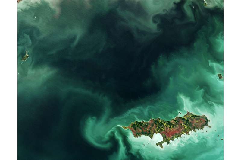 image: Reindeer Island