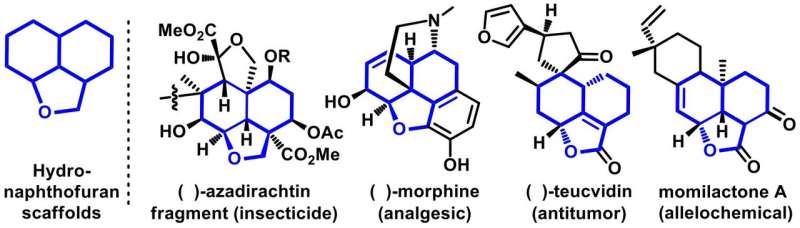 Important tricyclic chemical compounds with efficient chirality control