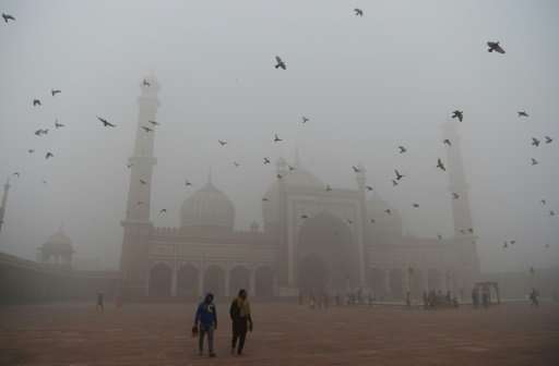 Indian visitors walk through the courtyard of Jama Masjid amid heavy smog in the old quarters of New Delhi