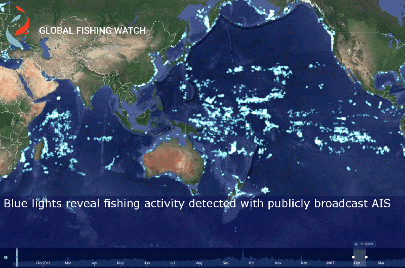 Indonesia makes its fishing fleet visible to the world through Global Fishing Watch