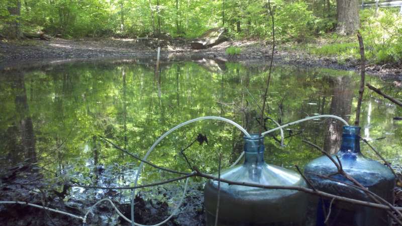 In measuring gas exchange between water and air, size matters