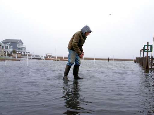 Insidious but overlooked: Back-bay flooding plagues millions