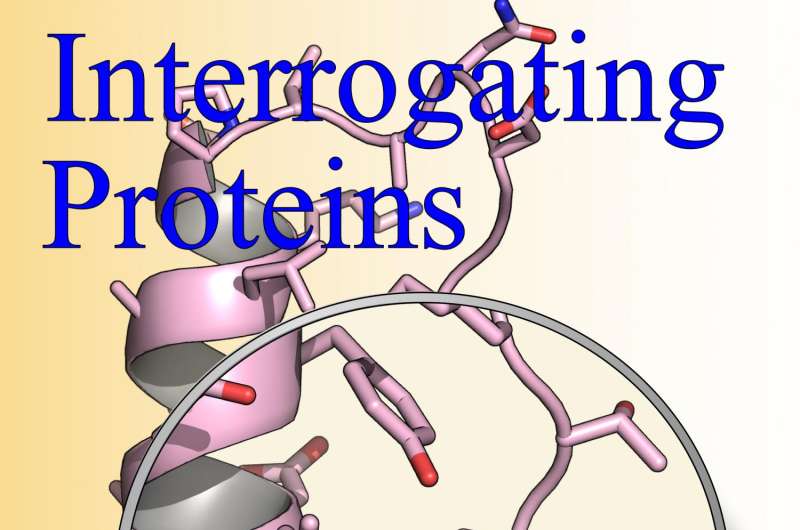 Interrogating proteins