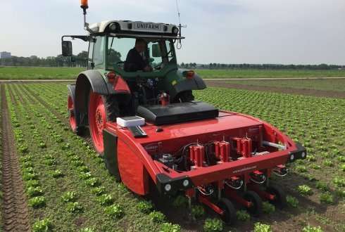 Intra-row weeding possible with vision systems