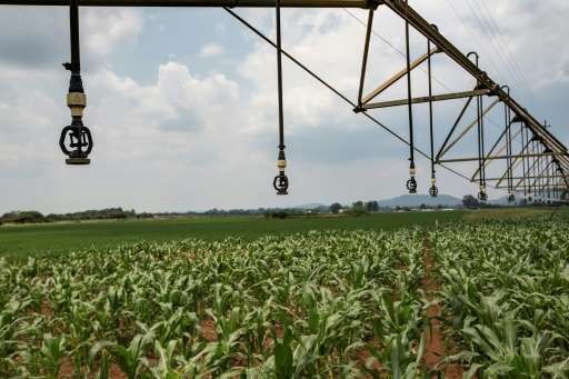 Irrigation systems, like the one shown in Pretoria, South Africa, can be used to dispense pesticides to combat the armyworm infe