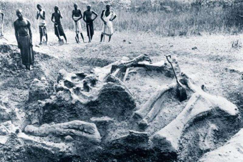 It's time to celebrate Africa's forgotten fossil hunters