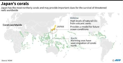 Japan's corals