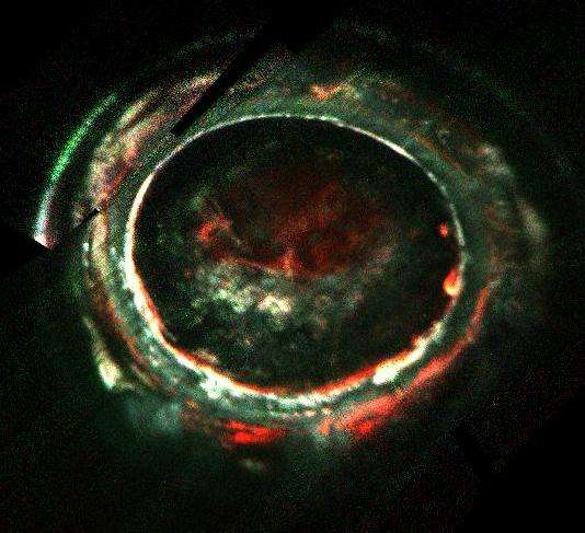 Jupiter's Aurora Presents a Powerful Mystery