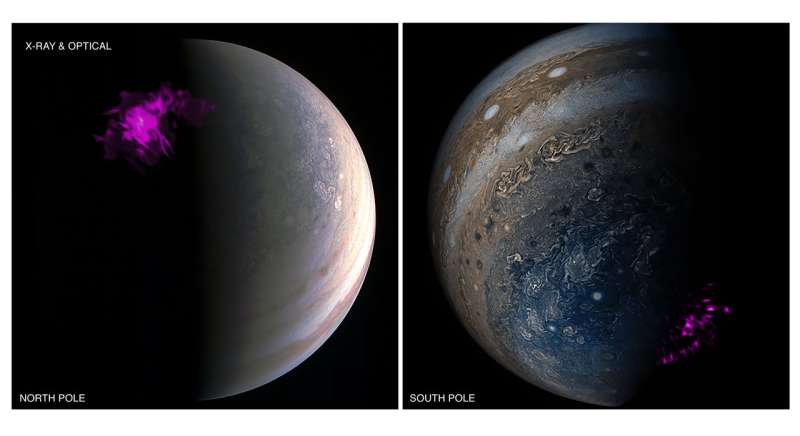 Jupiter's X-ray auroras pulse independently