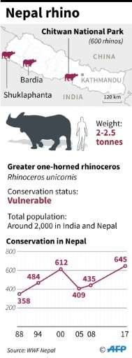 Just 2,000 one-horned rhinos remain in India and Nepal