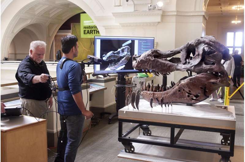 Kinect scan of T. rex skull addresses paleontological mystery