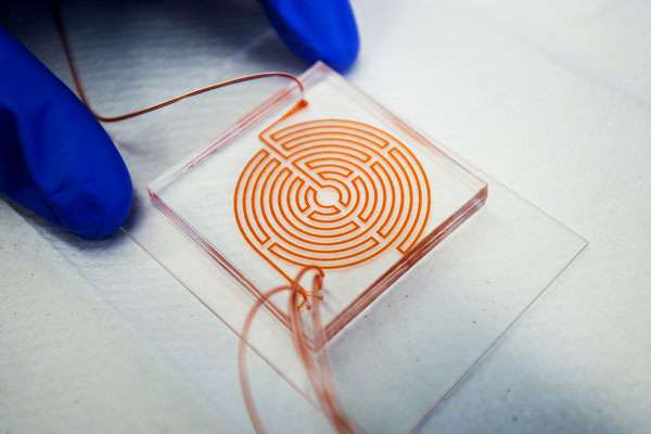 'Labyrinth' chip could help monitor aggressive cancer stem cells