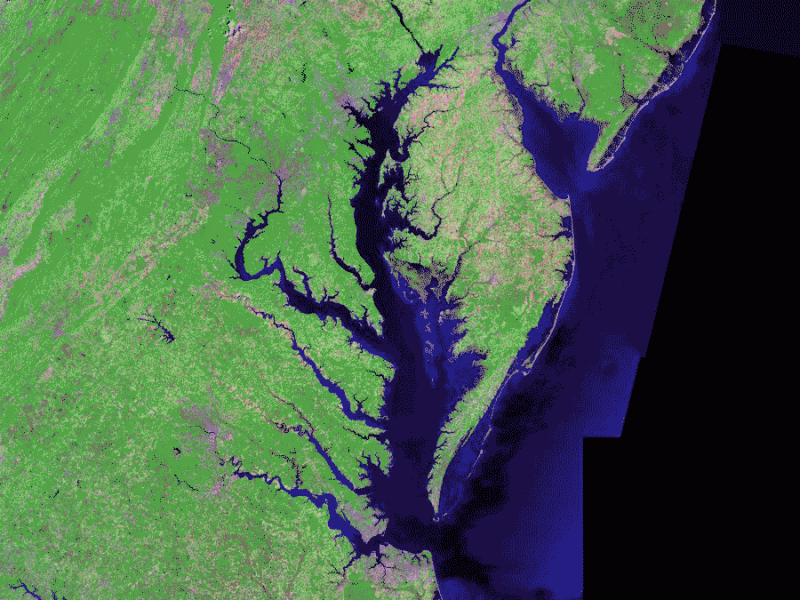 Larger-than-average summer 'dead zone' predicted for Chesapeake Bay in 2017
