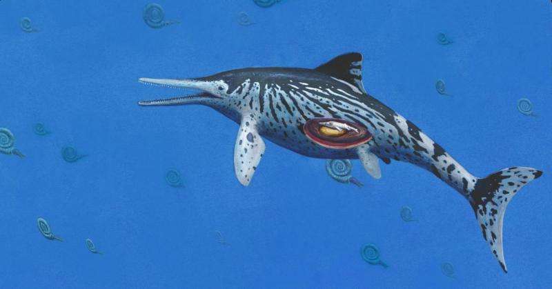Largest Ichthyosaurus was pregnant mother, say palaeontologists