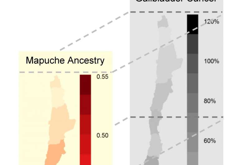 Latin-Americans with different Native-American ancestry show different health risks