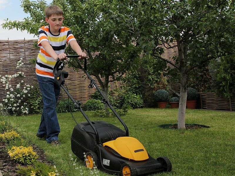 草坪割草机对孩子们冒险