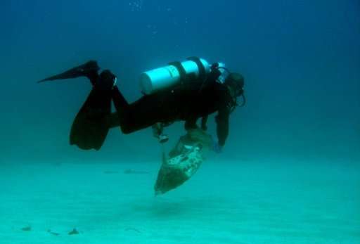 Lebanese divers take part in cleaning the seabed of trash off the coastal city of Batroun.