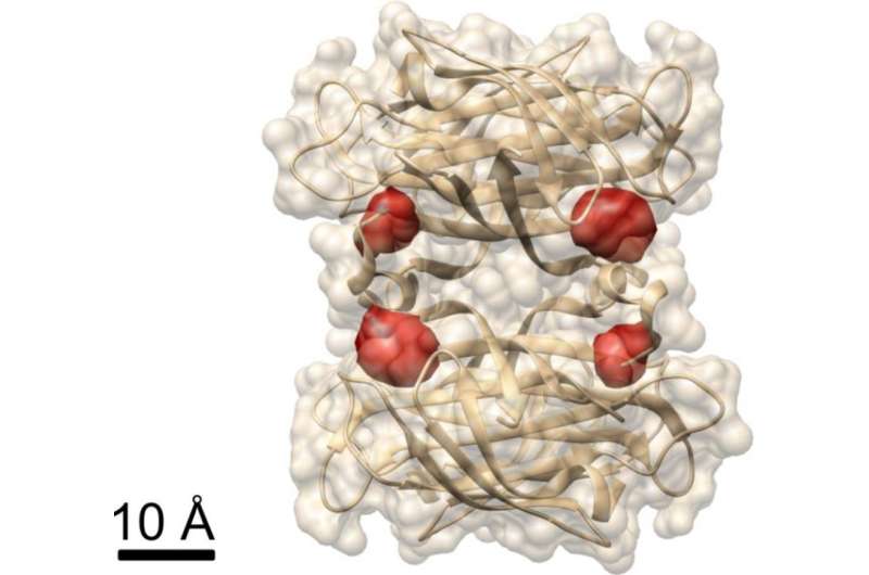 Light microscopy provides a deep look into protein structure