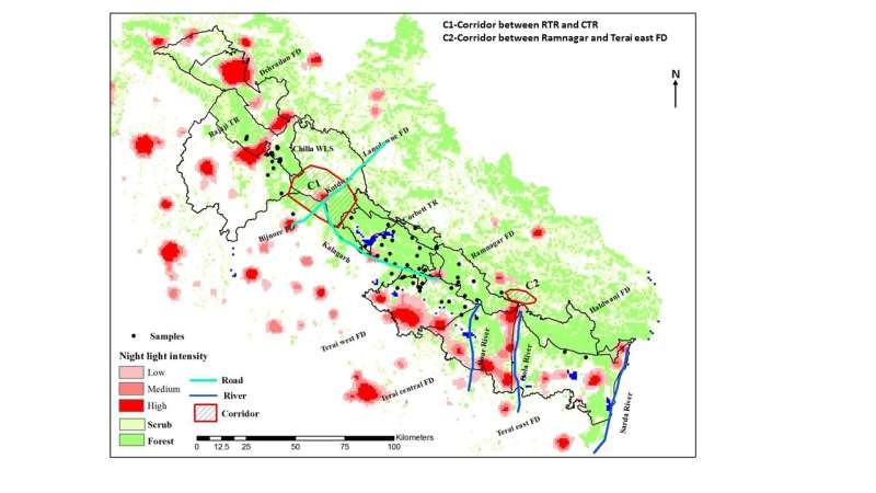 Limited gene flow between 2 Bengal tiger populations in the western Himalayan foothills