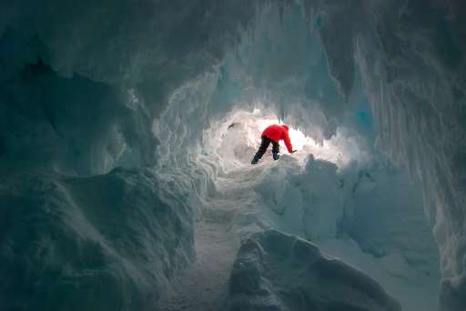 Little is known about the flora and fauna that live in subglacial caves in Antarctica, and scientists say finding and exploring 