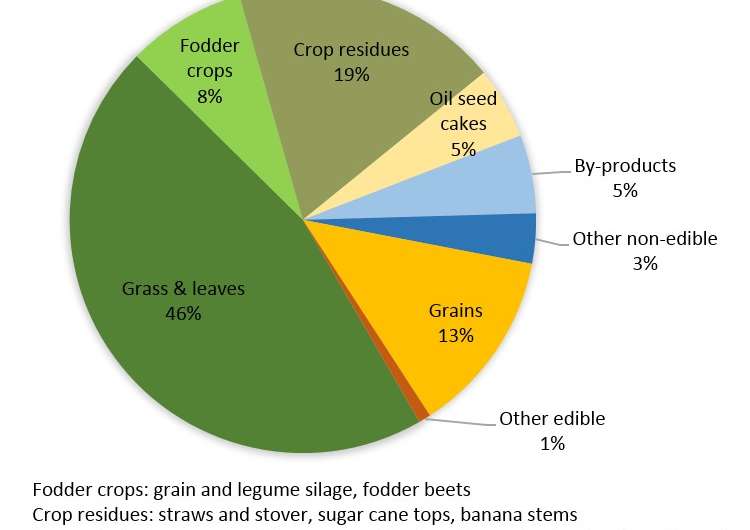 Livestock production, a much smaller challenge to global food security than often reported