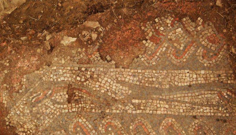 Lufton Villa excavations reveal new details about famous fish mosaic