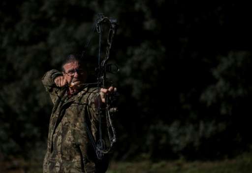 Madrid authorities have resorted to using volunteer bow hunters to cull wild boars encroaching on towns
