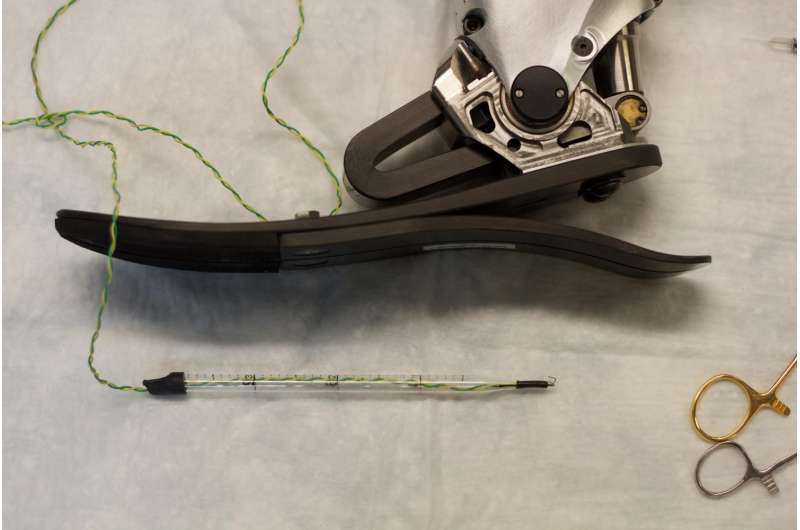 Making prosthetic limbs feel more natural