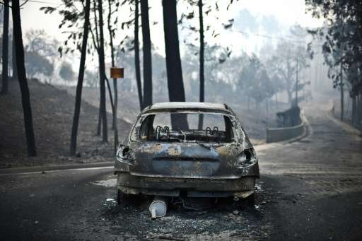 Many people died in their cars in the forest fires sweeping central Portugal