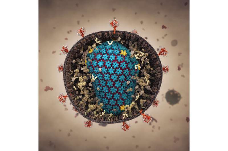 Massive simulation shows HIV capsid interacting with its environment