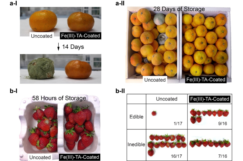 Material-independent nanocoating antimicrobial spray extends the shelf life of produce