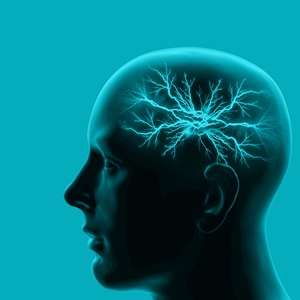 Memory insight may prove beneficial for those with brain damage