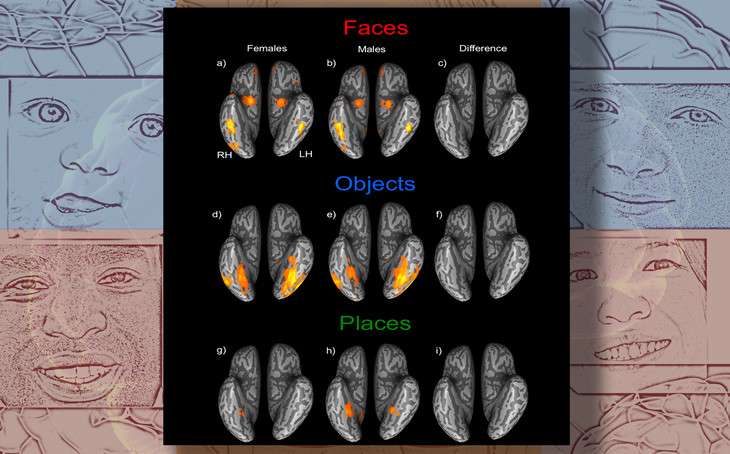 Men and women show equal ability at recognizing faces