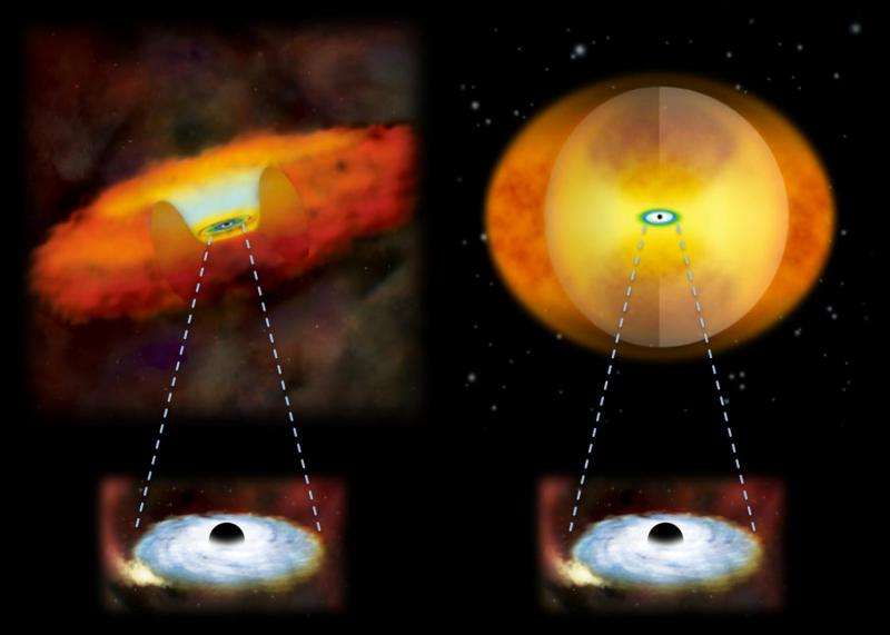 Merging galaxies have enshrouded black holes