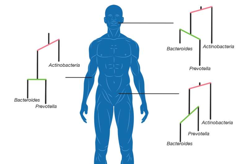 Microbes evolved to colonize different parts of the human body